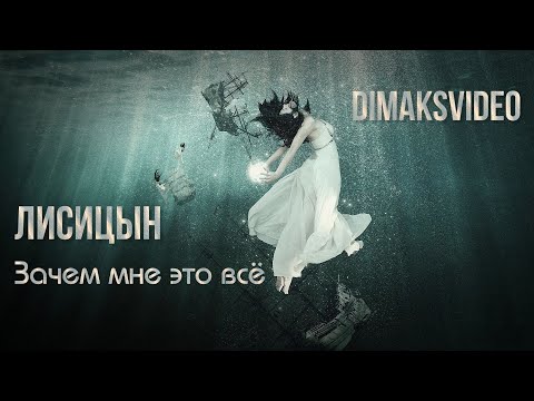 Лисицын - Зачем мне это всё  (DimakSVideo)