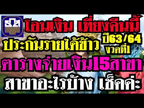 เช็คเลย! แผนการจ่ายเงินธ.ก.ส.15สาขา ประกันรายได้ข้าวปี63/64 งวดที่1 โอนเข้าบัญชีเที่ยงคืนนี้
