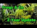 Two years later  my thoughts on the exoterra frogs  co vivarium