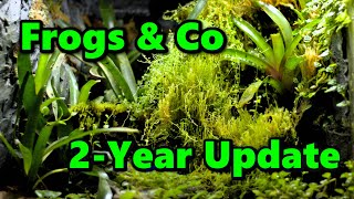 Two Years Later  My Thoughts on the ExoTerra Frogs & Co Vivarium