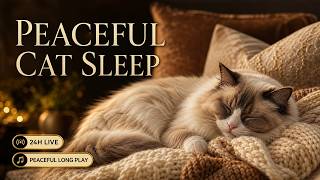 24 HOURS LIVE Cat TV to Soothe Anxiety & Boredom with Calming Music screenshot 5