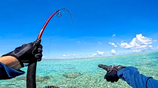 Trekking to Amazing Coral Lagoon filled with Fish