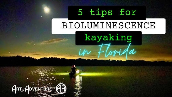 Bioluminescence Tours  Stories from Exploria Resorts