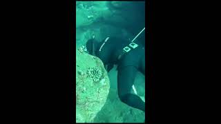 Live: Spearfishing & Underwater Sports 15.10