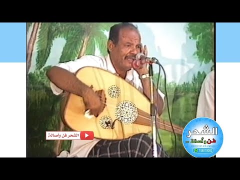 بدوي زبير الهوى قال بو محضار حكمته حكمه طرب حضرمي