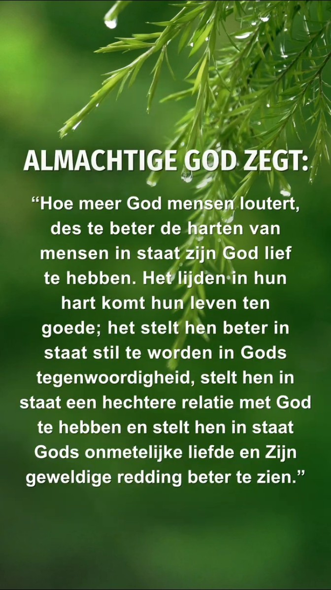 God wil dat we deze passage uit Zijn woorden in stilte lezen