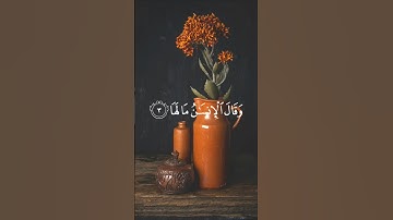 عندما تهتز الأرض بأمر الله... كيف سيكون المشهد؟ تلاوة تهتز لها القلوب🥺💔