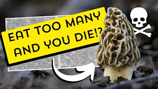 The Truth About Morel Mushrooms Toxicity