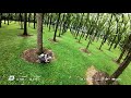 Dji Avata 2 Proximity flight