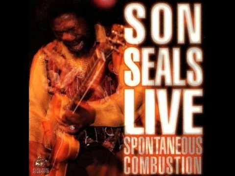 Putar The Sun Is Shining - Son Seals