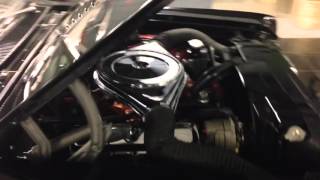 Superbird and muscle cars at The Shed