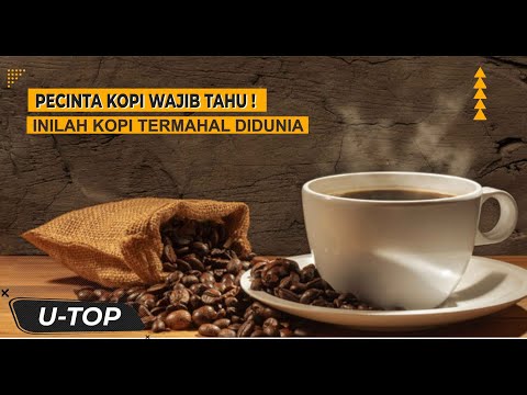 PECINTA KOPI WAJIB TAHU, INILAH KOPI TERMAHAL DI DUNIA | UTOP