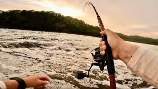 Once In A Lifetime Catch From A Remote Beach In Panama!!