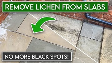 How to Remove Black Spots & Lichen from Sandstone Slabs | Easy Patio Cleaning