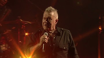 Cold Chisel performing Flame Trees | Armidale, Australia 2024