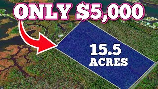 NEVER Buy Affordable Land If You Don't Know This! image