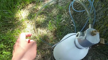 Quick Demo on Micro-Infusion of White Ash Tree