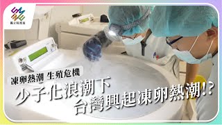 少子化浪潮下台灣興起凍卵熱潮凍卵熱潮 生殖危機公視 #獨立特派員 第811集 20230726