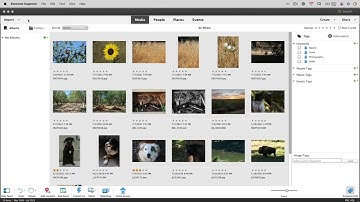 How to use Adobe Photoshop Elements Organizer