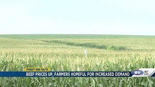 Nebraska Ag Prices July 2025