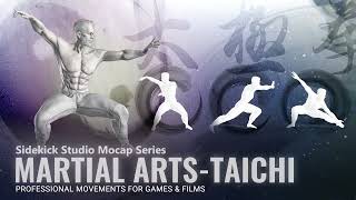 Introducing our Mocap Motion product - Martial Arts - Taichi.