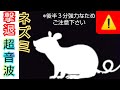 【ネズミ･撃退･超音波】ねずみ用のモスキート音┃駆除、罠、鼠、音、BGM･ASMR┃モスキート、アプリ、対策、ネズミが嫌がる音┃後半３分、強力なためご注意下さい┃退治、ネズミ駆除