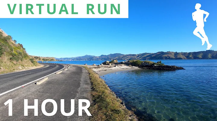 Virtual running video 1 hour | Virtual Running Videos For Treadmill 4K | Virtual Exercise Video