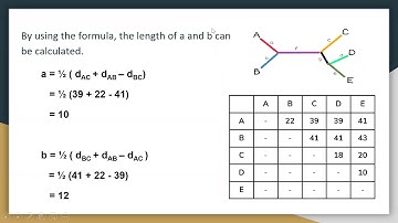 Fitch & Margoliash Algorithm : Phylogenetic Tree Distance Analysis
