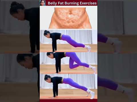 Autom Ladybot Will Help You Lose Weight Look At You Sideways Regardless