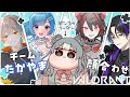 【#VALORANT 】激動-GEKIDO- Middle Rankの大会メンバーと顔を合わせます!【#もんたりうむ /初見さんも大歓迎♪】