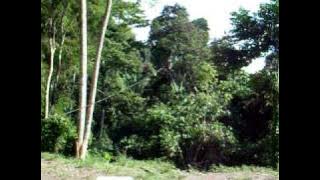 anji & ria zipline @ Seven Falls Lake Sebu