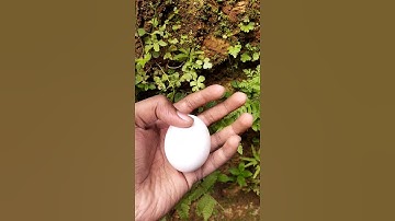ഇങ്ങനെ ചെയ്യാൻ പറ്റുമോ നിങ്ങൾക്ക്🥚🐥🥚