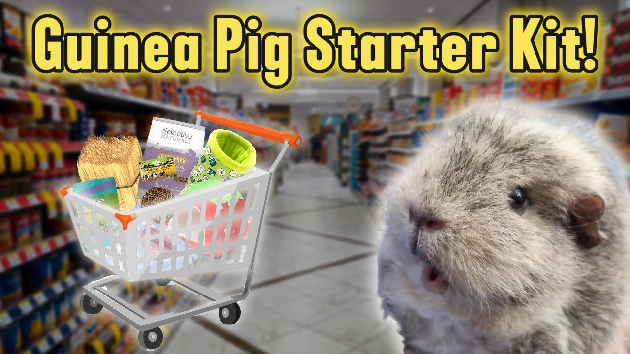 🛒 The ULTIMATE Guinea Pig Shopping List – Everything You Need! ✅