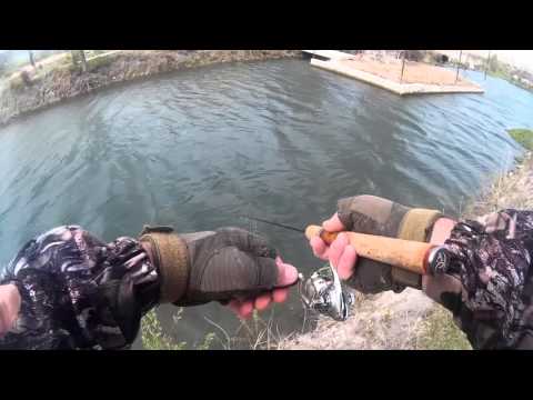 ტესტი  FAVORITE ARENA. კალმახი, სპინინგი. Спиннинг для ловли форели