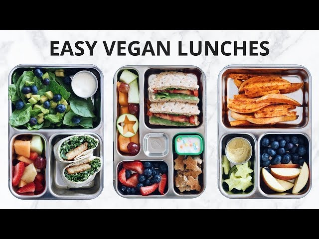 Easy Bento Box Lunch Ideas for Kids – Pescatarian & Vegetarian 