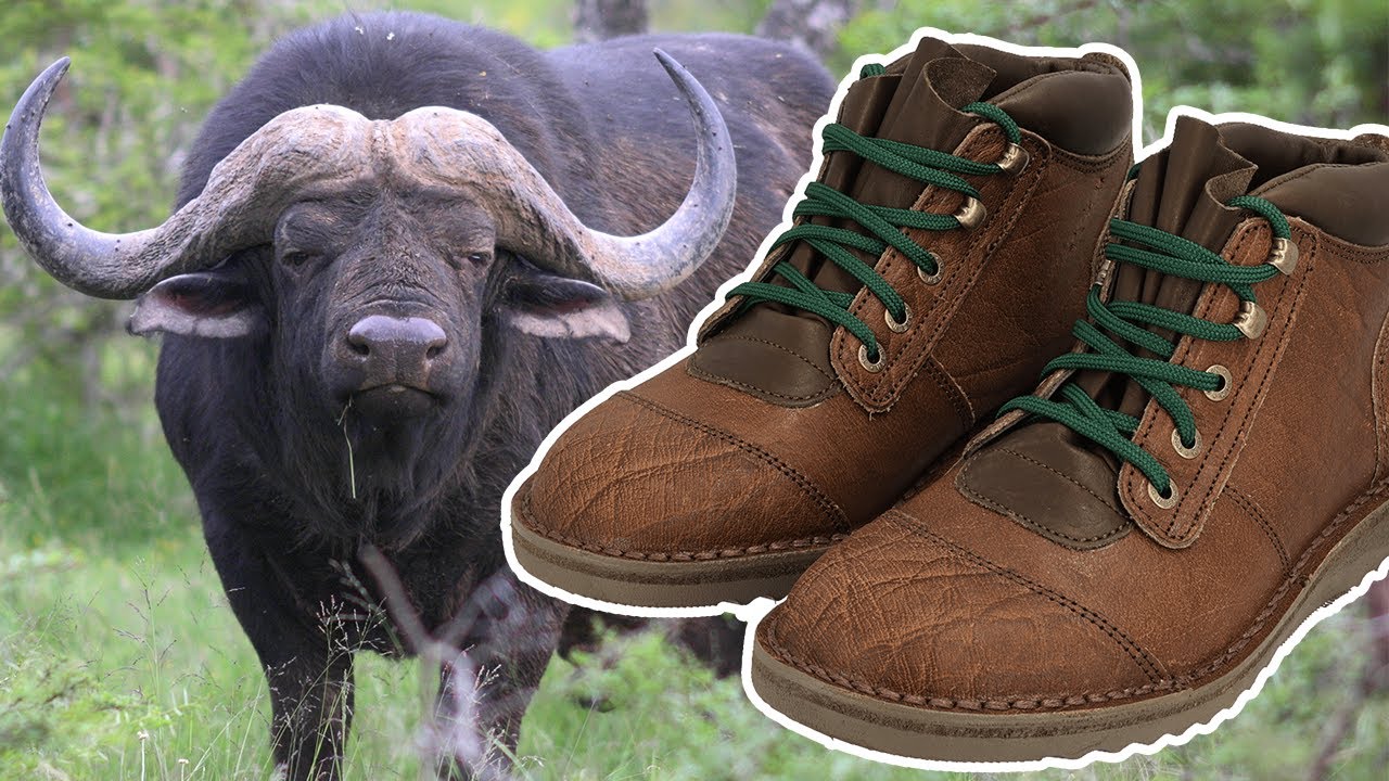 The Boot of Conservation // The Story behind the African Buffalo Boot - YouTube