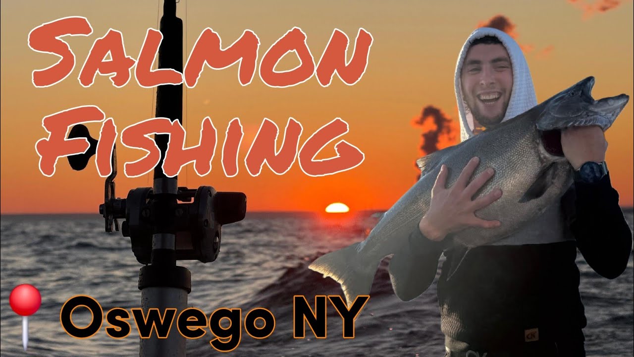 Come Along Salmon Fishing 🎣🎣