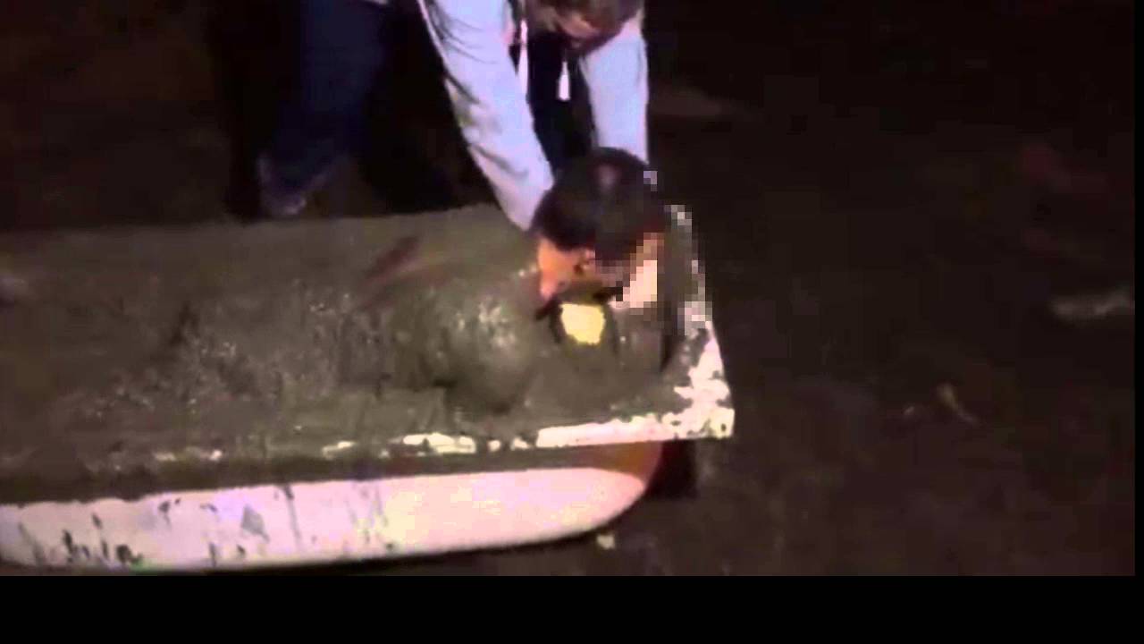 нашли и залили бетоном в свинарнике украинку. нашли и залили бетоном в свинарнике украинку. нашли и залили бетоном в свинарнике украинку. тазик с бетоном. демонтаж бетонного погреба.