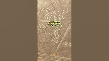 Mereka Gambar Ini 2000 Tahun Lalu?! Tanpa Drone, Nazca Lines: Pesan Kuno dari Langit?