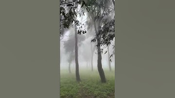ولا تكونوا كالذين نسوا الله فأنساهم أنفسهم أولئك هم الفاسقون "سورة الحشر" #القرآن #ذكر_الله .