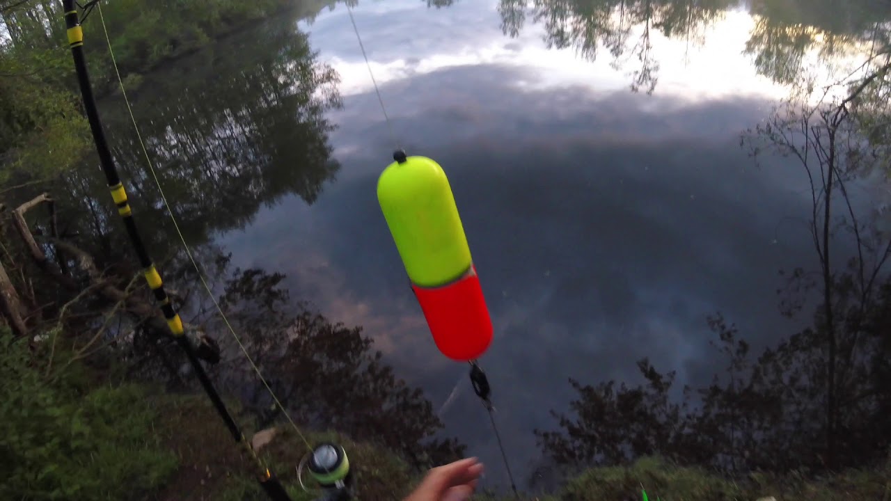 Materiel de peche pour le silure pour les nuls