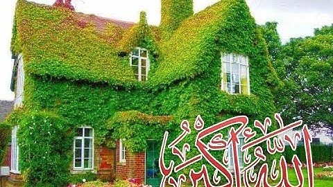 تلاوة رائعة سورة التحريم الشيخ ياسر الدوسري www.qoranet.net