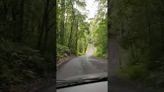 Jalan erek erek turun dari kawah Ijen