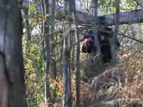 AIRSOFT PORTUGAL Santo Tirso by Pedro AS Cunha