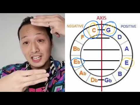 hush! 300秒-Addison樂理學堂-Negative Harmony