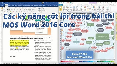 MOS Word 2016 Skills Review