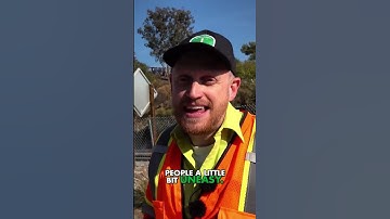 Bus Rapid Transit Hurts Your Brain