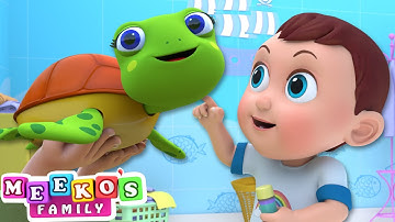 I Had A Little Turtle Song 🐢😻 | Meeko