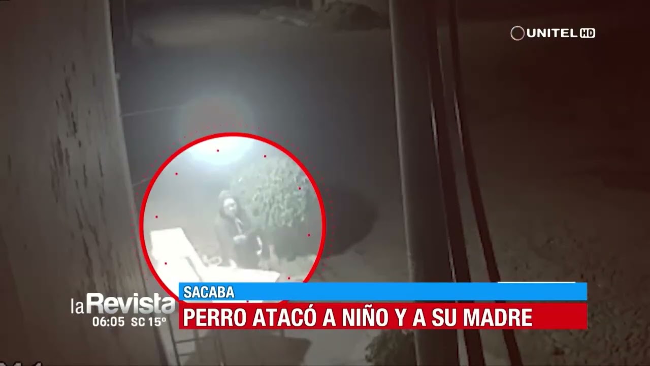 Hay un problema con las cámaras de vigilancia para perros, porque el  resultado más habitual es que acabéis agobiados el perro y tú