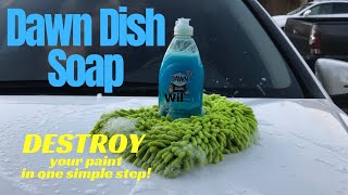 Dawn Dish Soap: Destroy your paint in one simple step!
